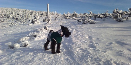 Krásná ukázka zimy na hřebenech