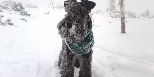 Tentokrát je počasí jen pro otrlé