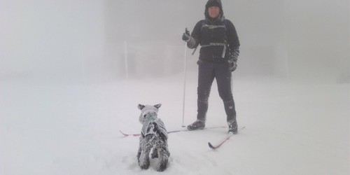 Ne vždy nám počasí přeje - pár metrů od Labské boudy