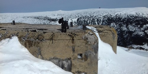 Řopík v Kotelském sedle s Violíkem v pozadí