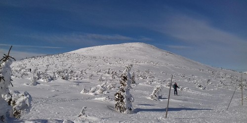 Vysoké kolo nebo Velký šišák - jak kdo chce :-)