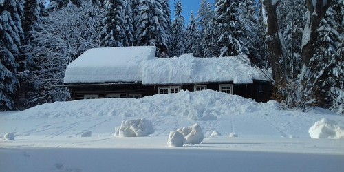 Život v zimě na horách - mezi Rovinkami a H. Mísečkami