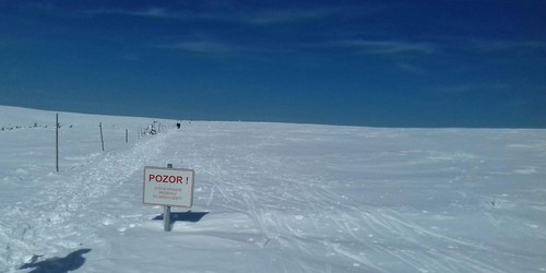 Točna autobusu na Vrbatce