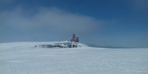 Violík u Sněžných jam