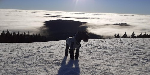 Inverze na Horních Mísečkách