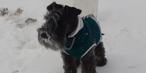 Cesta česko-polského přátelství