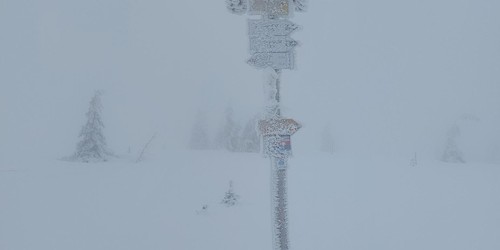 Když počasí opět nepřeje - u Petrovy boudy 