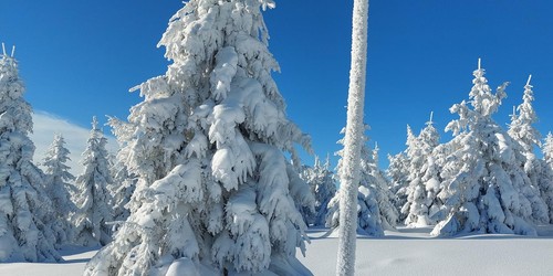 Zimní pohoda na hřebenech