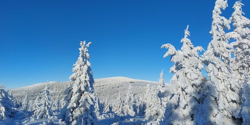 Zimní pohoda na hřebenech