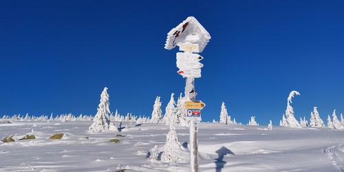 Rozcestník pod Petrovkou