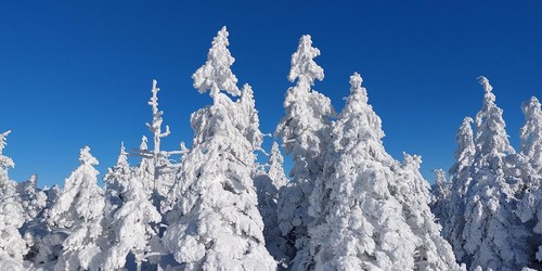 Zimní pohoda na hřebenech