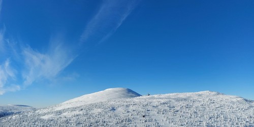 Violík i Velký šišák jako na dlani