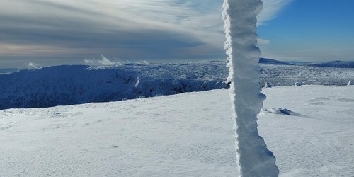Tohle umí jen paní Zima