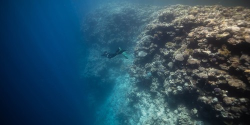 Blue hole Egypt