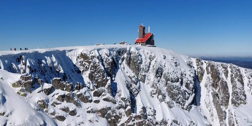 Violík u Sněžných jam