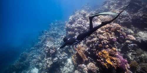 Blue hole Egypt